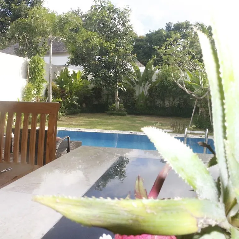 Villa Olivia Jimbaran Indonesia